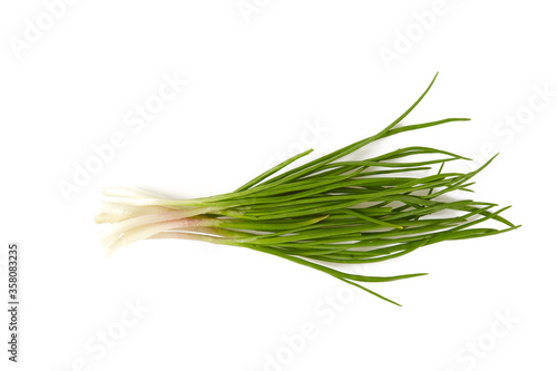 spring onions isolated on white background