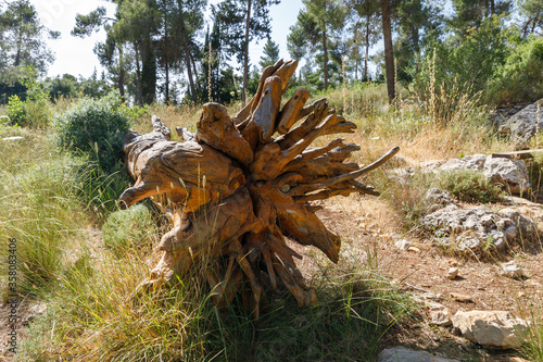 A fallen tree in various figures carved on the trunk in the Totem park in the forest near the settlements of Har Adar and Abu Ghosh photo