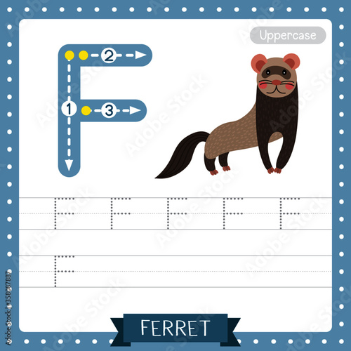 Letter F uppercase tracing practice worksheet. Standing Ferret