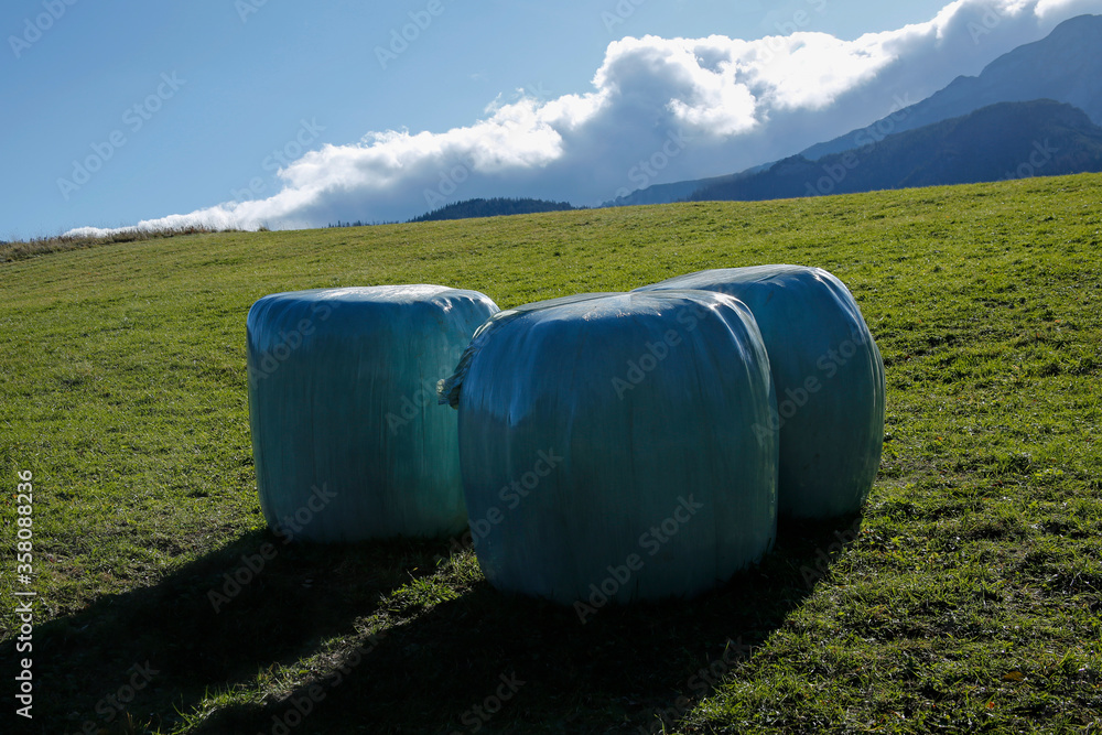 rolls of packed ensilage on the mountain meadow rolls of packed ensilage on the mountain meadow