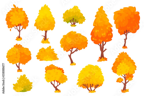 Autumn trees, shrubs, bushes with crown of different shapes cartoon set. Plants with colorful foliage.