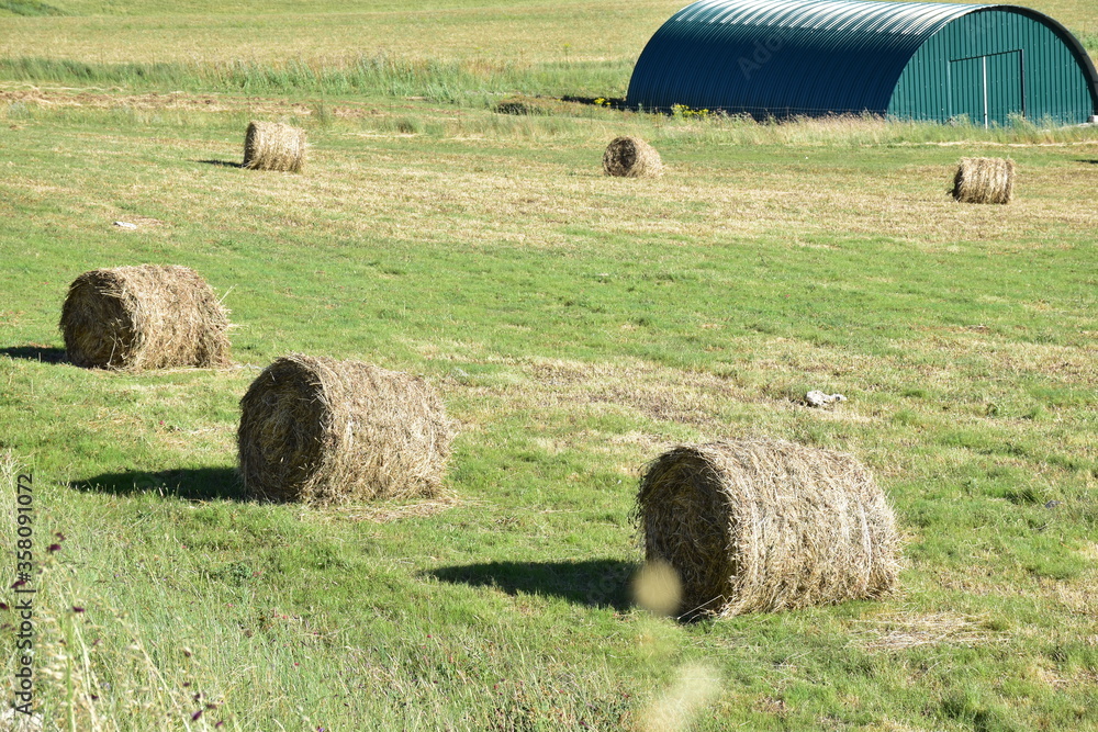 balle di fieno in campo aperto, Sicilia