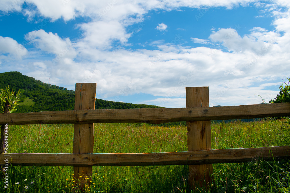 Green grass background. Natural environment. Good ecology. Blue sky Green grass background. Natural environment. Good ecology. Blue sky