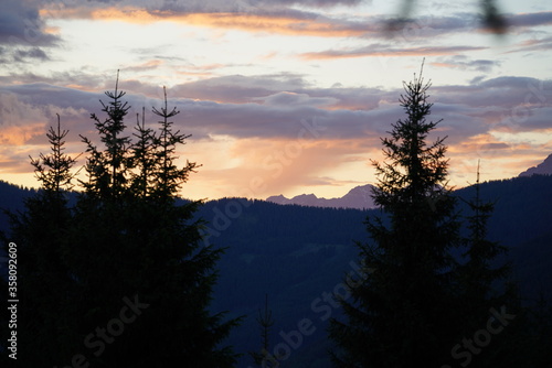 beautiful sunset on the mountains with tree silhouettes