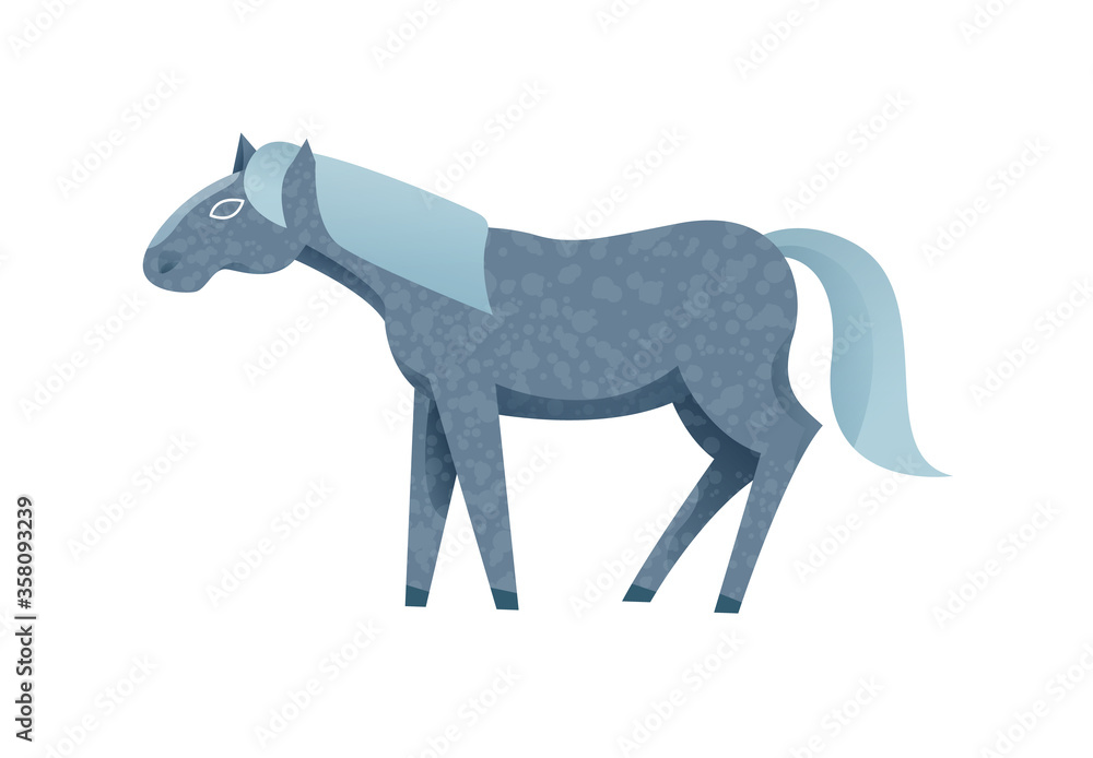 Vector Illustration of gray horse. Standing isolated grosbeak.
