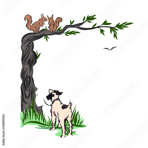 Dog looks at squirrel seated on tree branch. Pet walk outdoors. Hunting predator