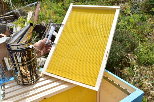 Telaino da nido con foglio cereo. Struttura interna di un alveare per la produzione di miele photo