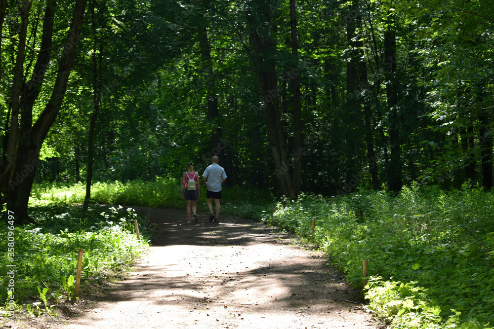 Obraz premium walk in the woods