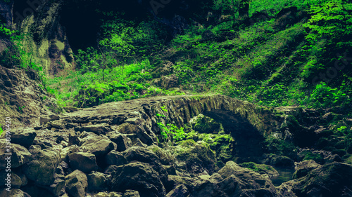 magical stone bridge in the lush green forest