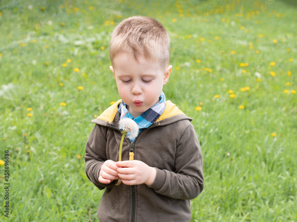 Cute boy with blond hair on a walk. A boy with a dandelion in his hands. Cute boy with blond hair on a walk. A boy with a dandelion in his hands.