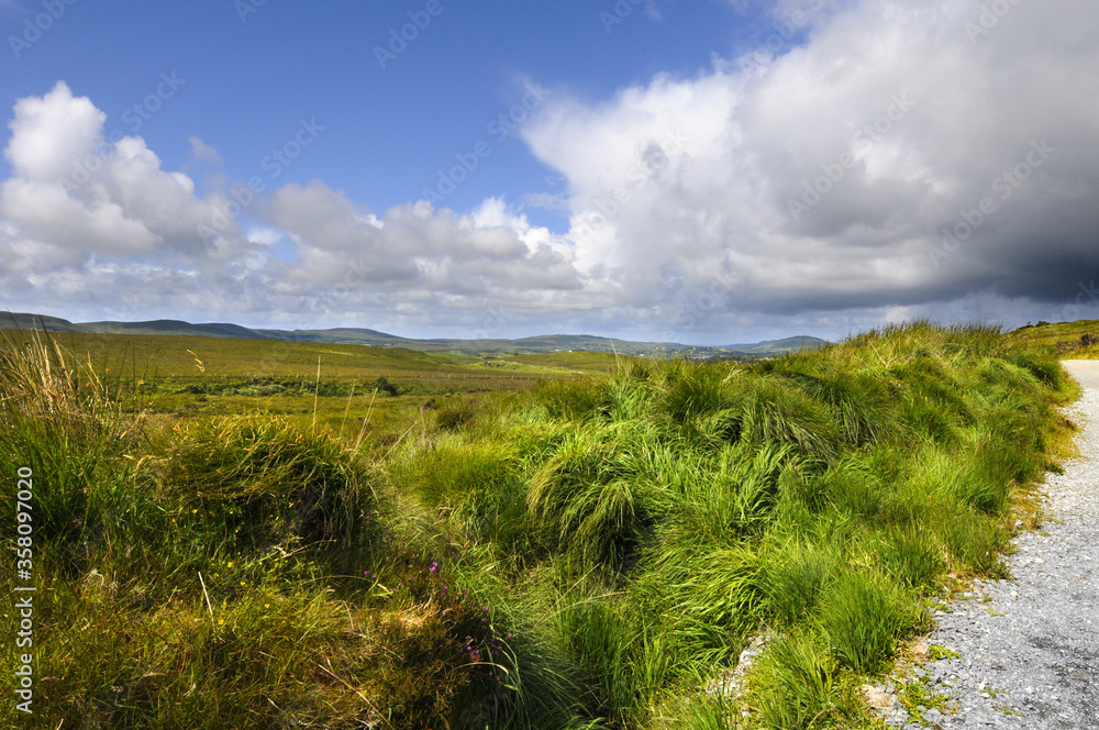 Sol gras, herbe lumineuse et verdoyante sur le bord d'un chemin à travers le Connemara en Irlande. Ciel bleu et nuageux.