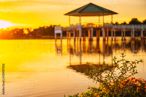 Focused on small tree bush with background of vintage Wooden Pavilion is under construction with light from sunset or evening time at water lake of Bueng See Fai, Phichit Province, Thailand. photo