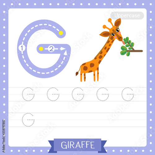 Letter G uppercase tracing practice worksheet. Giraffe eating leaves