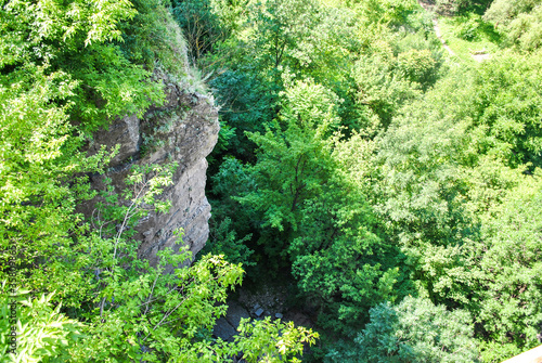 Canyon and green forest top view