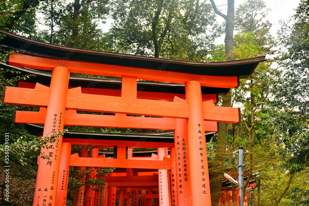 Fushimi Inari Taisha Japanese gate torii in Kyoto, Japan Fushimi Inari Taisha Japanese gate torii in Kyoto, Japan