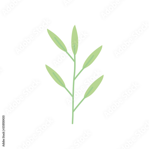 bamboo leaf icon  flat style