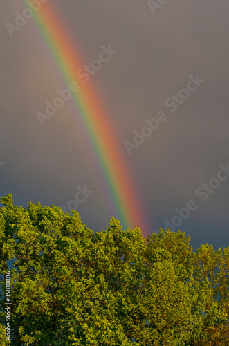Fototapeta Naklejka Na Ścianę i Meble -  rainbow in the sky