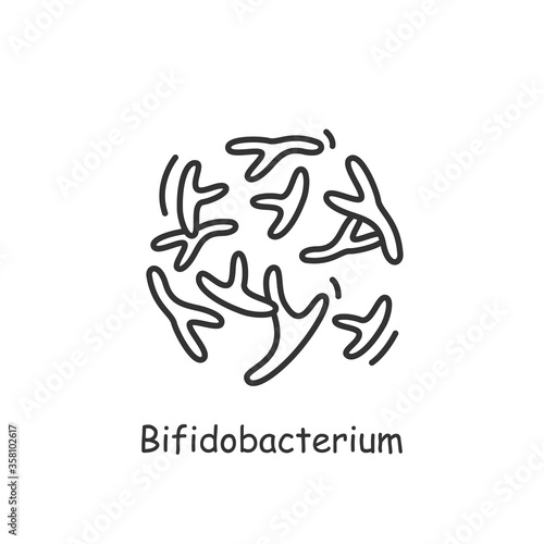 Bifidobacterium bifidum icon. Good probiotic for human health sign.Bacteriology and gastrointestinal health concept.Medicine, healthcare and science.Simple linear vector illustration.Editable stroke