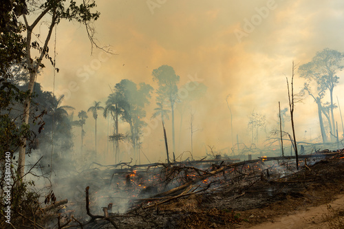 Trees on fire with smoke in illegal deforestation in the Amazon Rainforest to open area for agriculture. Concept of co2, environment, ecology, climate change and global warming. Para state, Brazil.