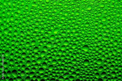 Close up of a water drops on a black and green gradient background, covered with drops of water -condensation.