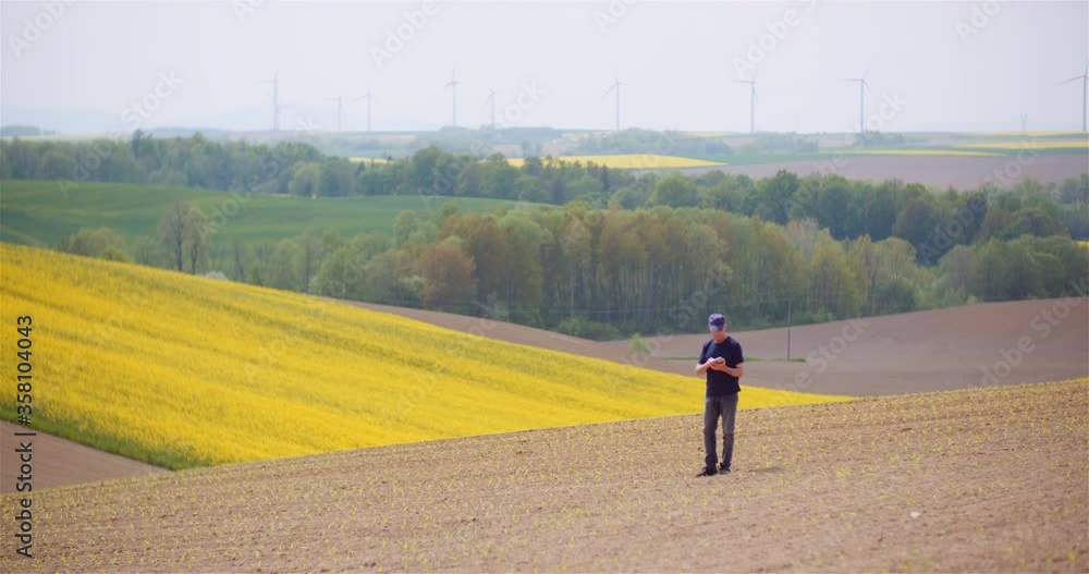 Agronomist Working on Tablet at Young Corn Field Agronomist Working on Tablet at Young Corn Field