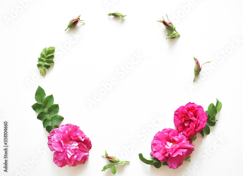 Composition of flowers. Frame of pink flowers on a white background. Flat lay, top view, copy space.
