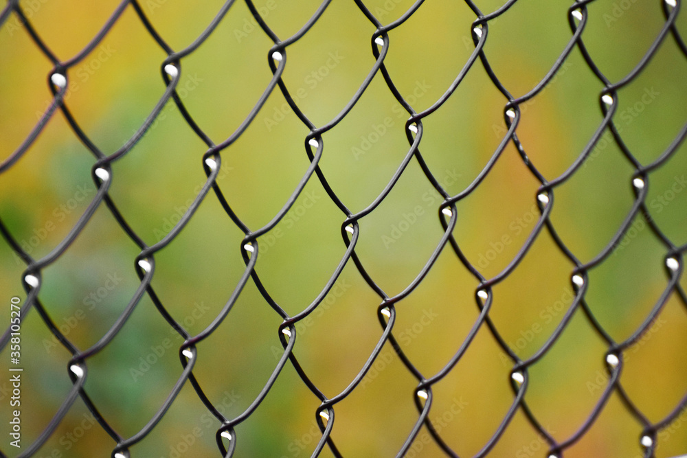 Fototapeta premium Metal fence pattern with rain drops in curls