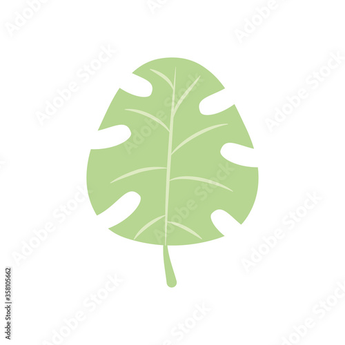 monstera tropical leaf icon, flat style