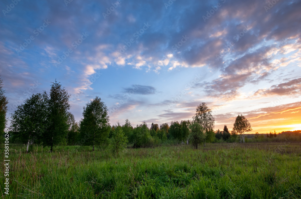 Sunset landscape of summer meadow under clouds on blue sky