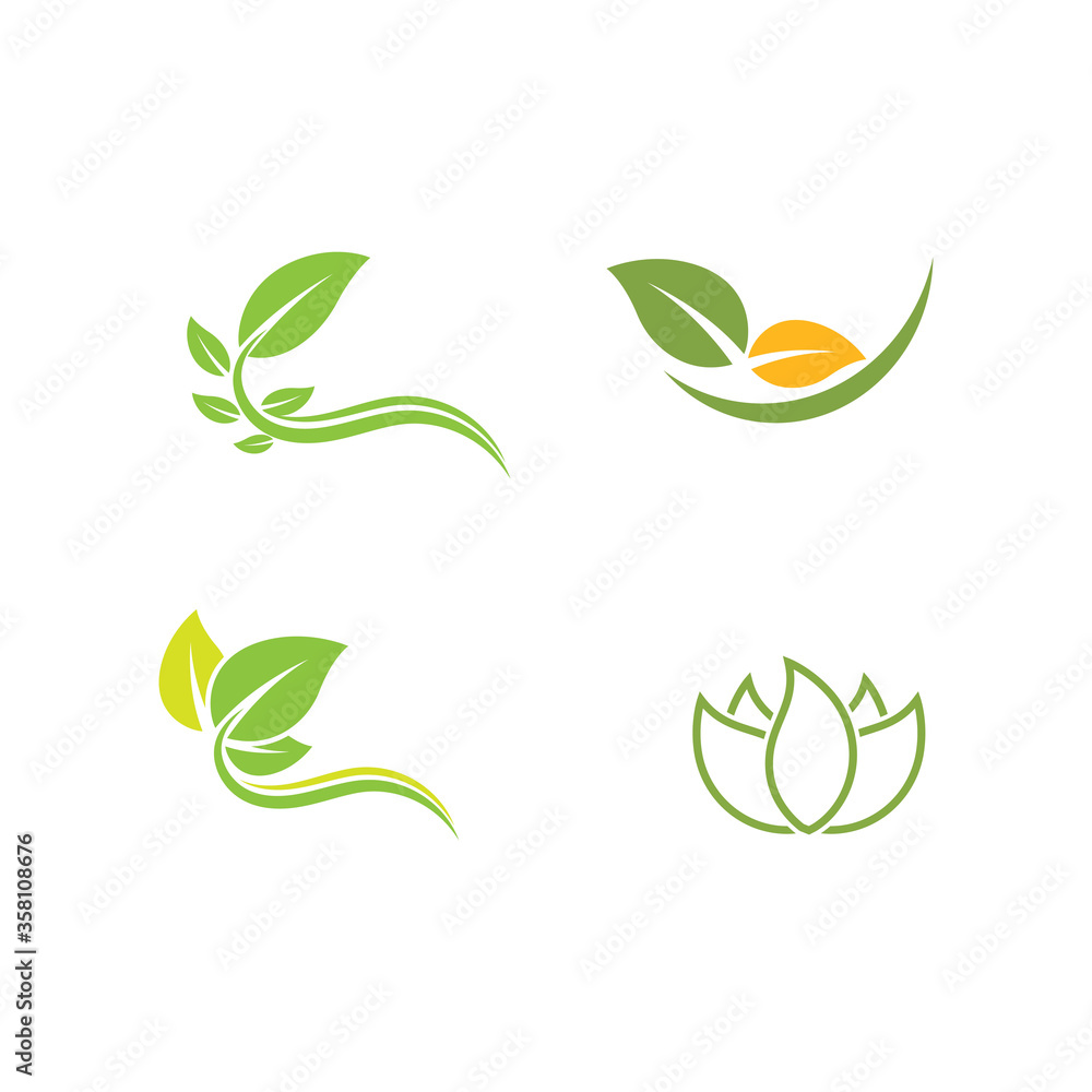 Set Leaf Logo Template vector