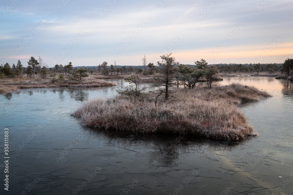 the first frosts in Kemeri bog lakes