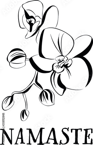 Black and white blossom artwork, dynamic vector illustration with-namaste-lettering, isolated on white background, set icon (ID: 358112848)