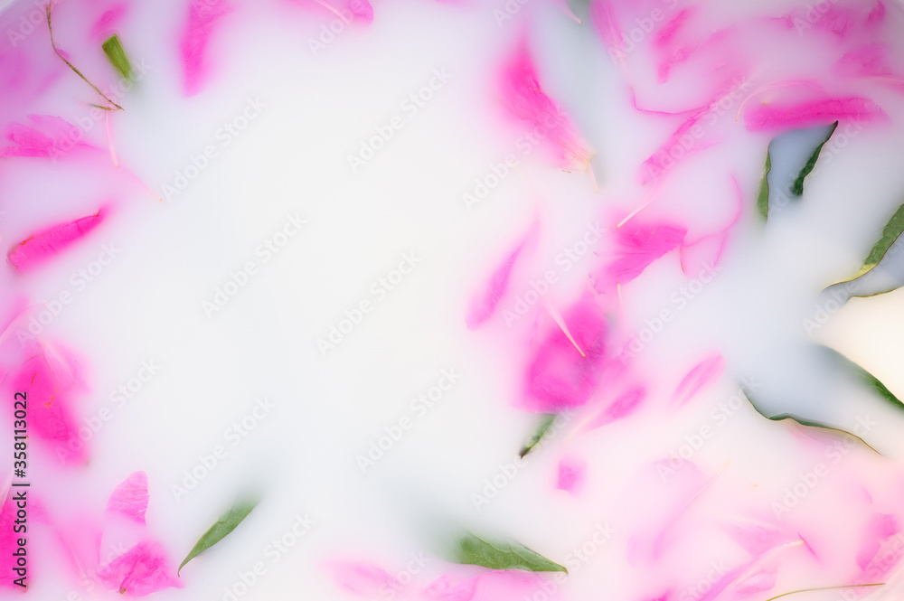 Petals of peonies in a milk bath. Place for text. Petals of peonies in a milk bath. Place for text.