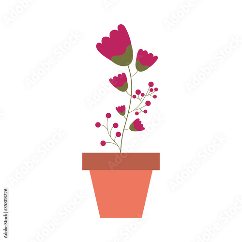 Isolated flower inside pot vector design