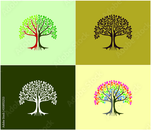 The set of Oak Tree logo design template. Premium quality Nature logo collections.