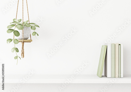 Interior wall mockup with green plant in hanging pot and books on the shelf on empty white background with free space on center. 3D rendering, illustration.