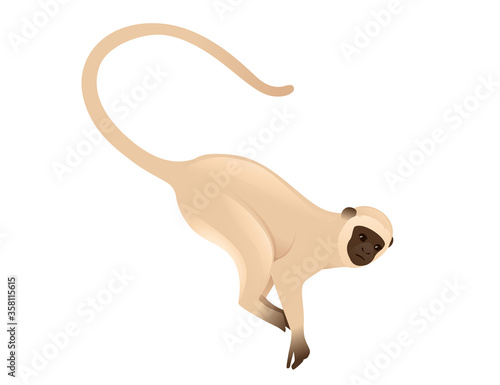 Cute vervet monkey beige monkey with brown face cartoon animal design flat vector illustration isolated on white background