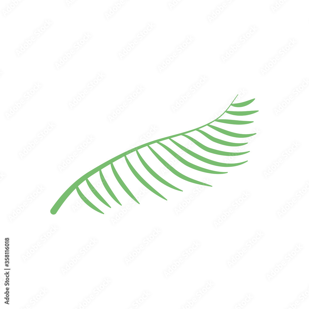 Palm leaf icon, flat style