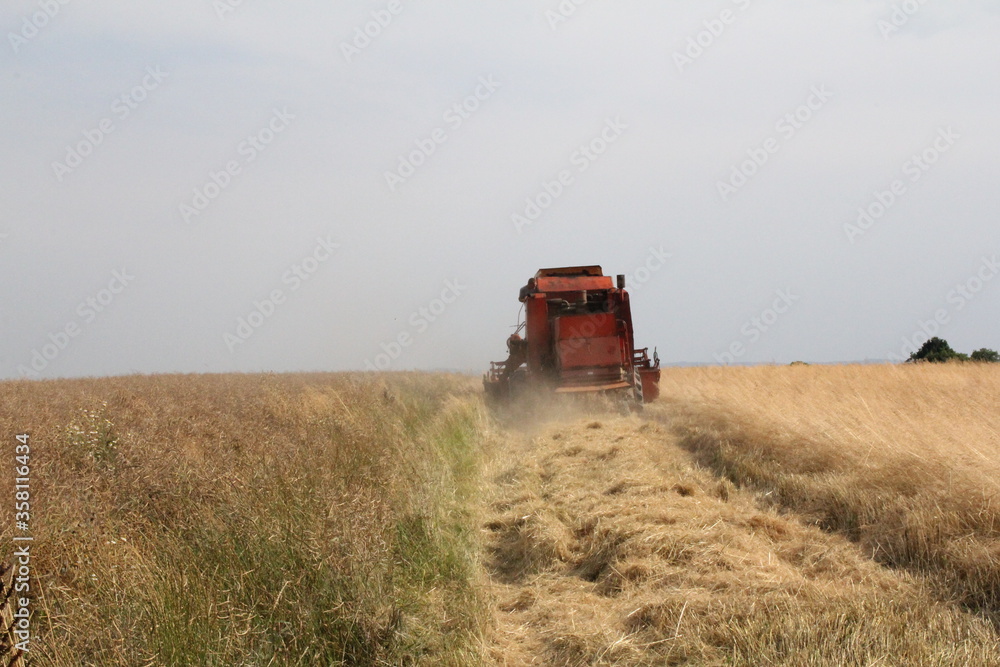 tractor working in the field, mowing grain, old tractor at work, countryside, farmer's work tractor working in the field, mowing grain, old tractor at work, countryside, farmer's work