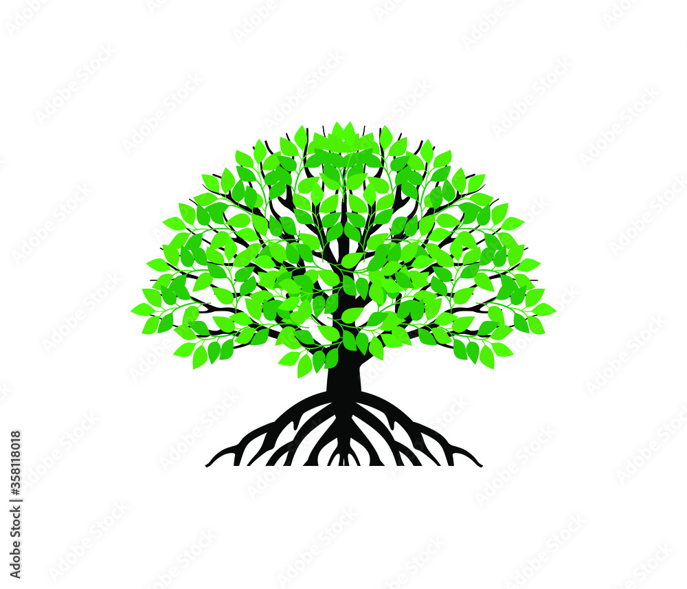 Obraz premium Tree and roots logo design vector isolated