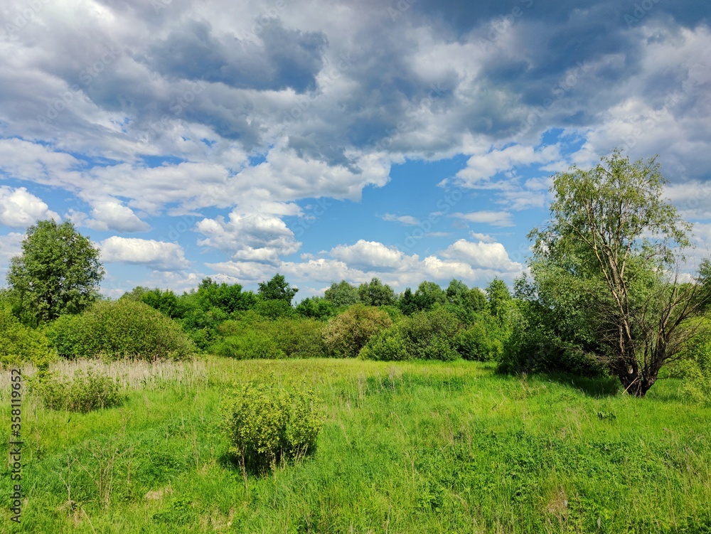 beautiful blue sky with stormy gloomy clouds over a green meadow and trees