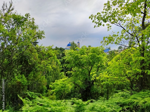 view of a rural temple through the greenery of fern foliage and trees against a cloudy sky