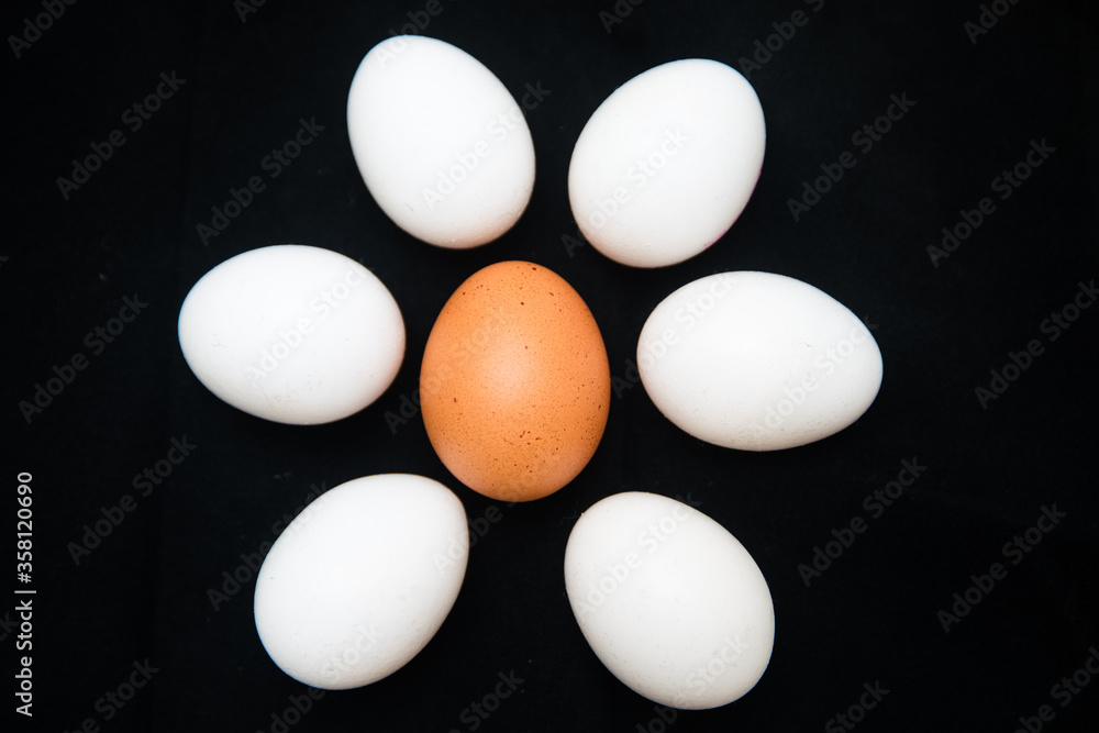 Eggs in black background Eggs in black background