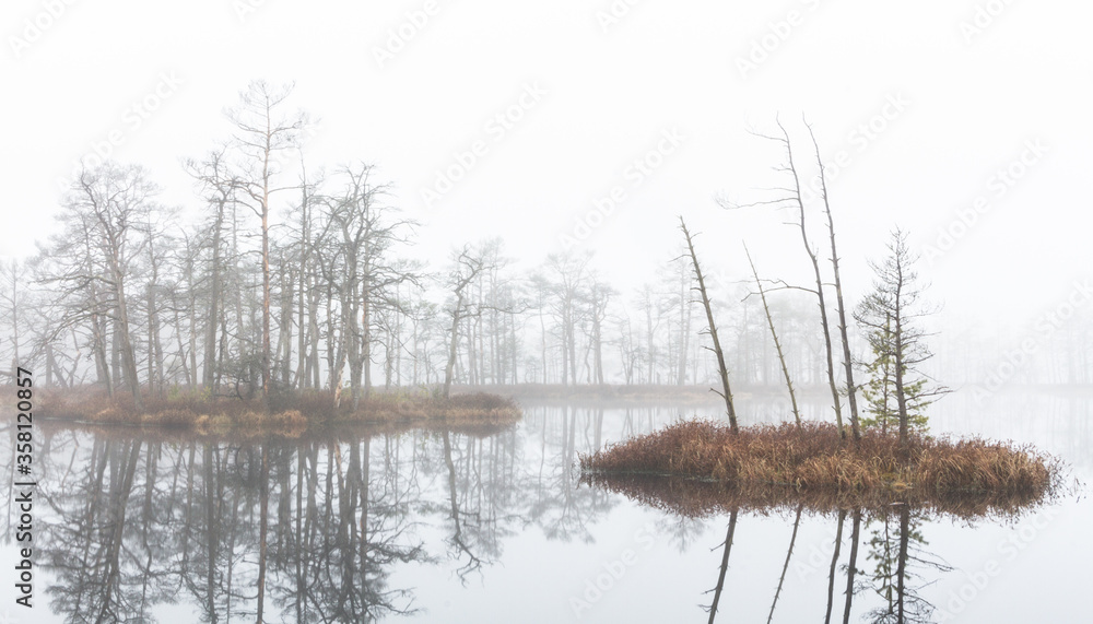 Foggy autumn morning cenas moor with reflections in a swamp lake Foggy autumn morning cenas moor with reflections in a swamp lake