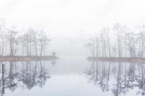 Foggy autumn morning cenas moor with reflections in a swamp lake