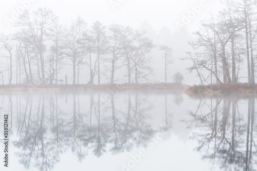 Foggy autumn morning cenas moor with reflections in a swamp lake