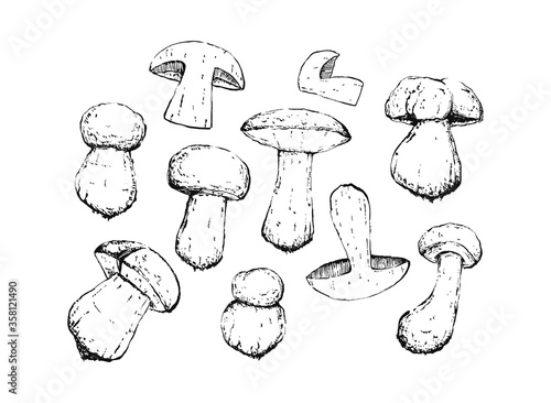 old vintage porcini retro sketch set