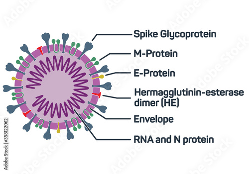 isolated abstract corona virus structure banner, color logo on white background, covid - 19