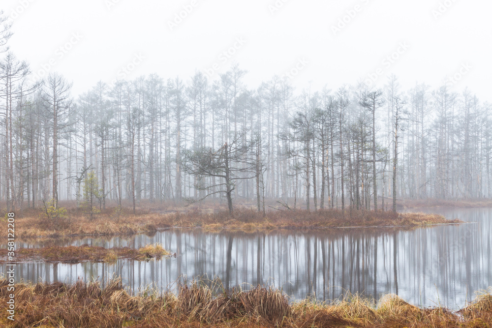 Foggy autumn morning cenas moor with reflections in a swamp lake Foggy autumn morning cenas moor with reflections in a swamp lake