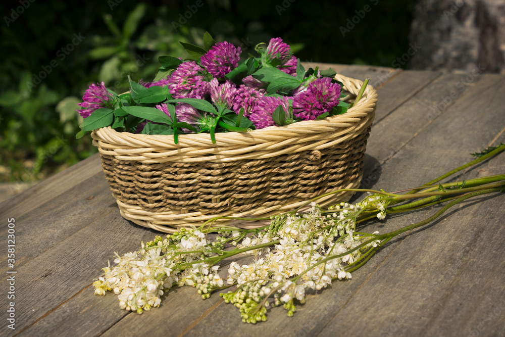 Wicker bowl full of clover flowers and meadowsweet branches Wicker bowl full of clover flowers and meadowsweet branches
